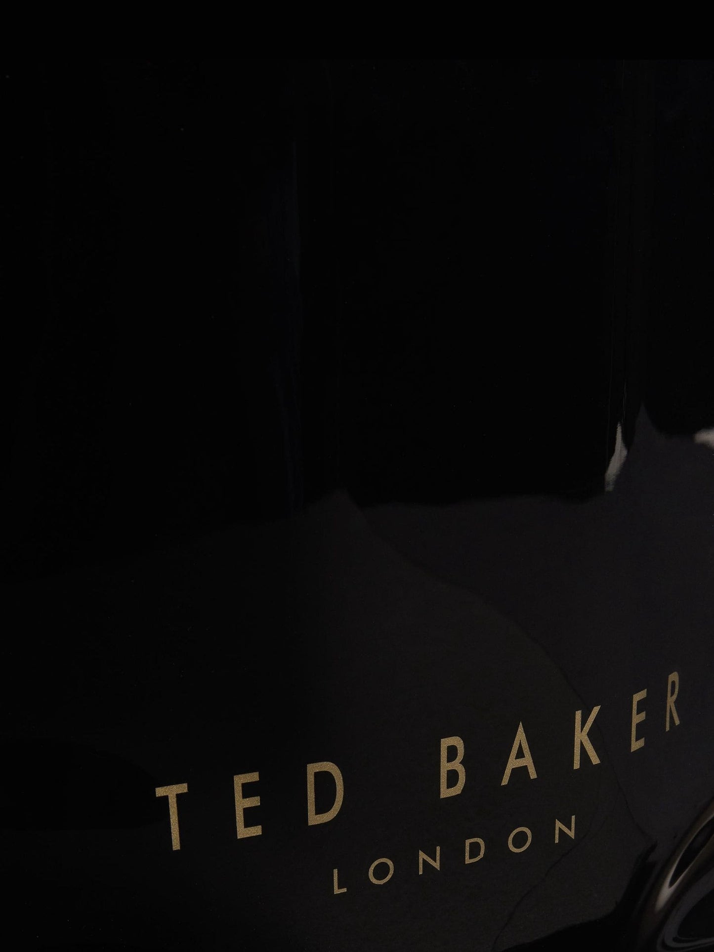 Ted Baker Siyah Nikicon Knot Bow Küçük Icon Çanta